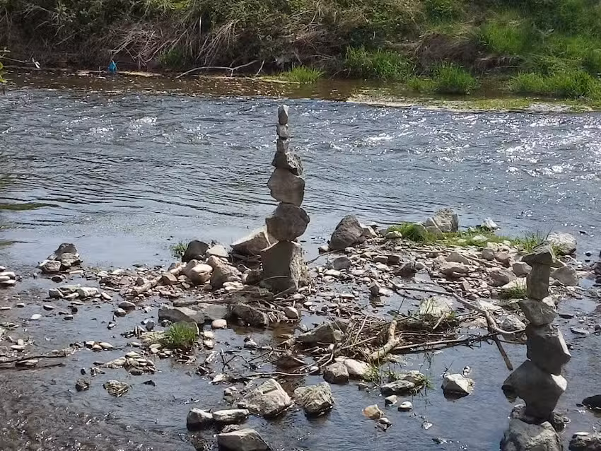 Ferienwohnungen Im Wildgarten