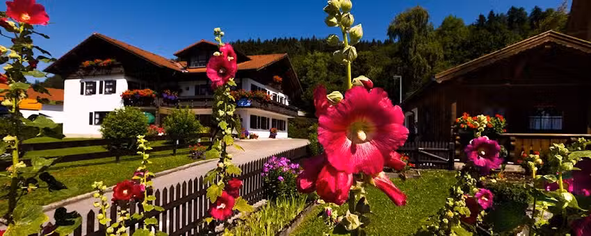 Ferienwohnungen Keller