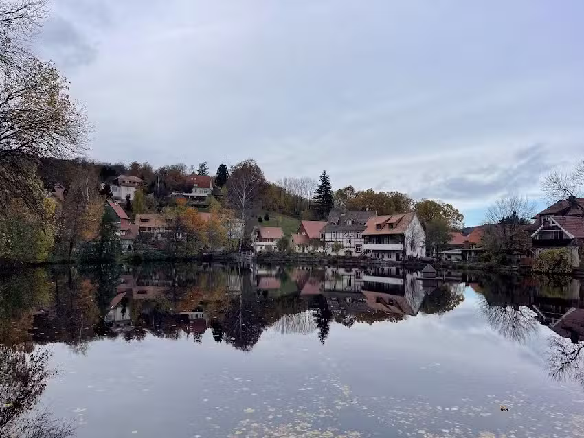 Ferienwohnungen mit Seeblick