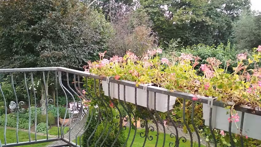 Ferienwohnungen Ostermann