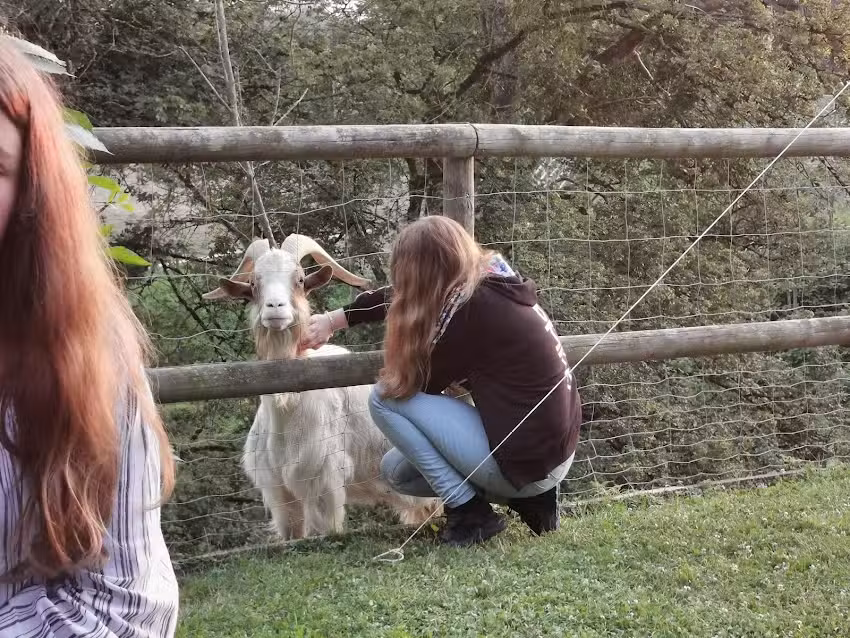 Ferienwohnungen PANO