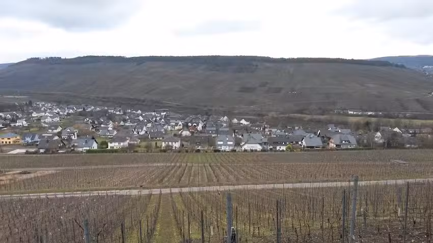 Ferienwohnungen Ro&szlig;