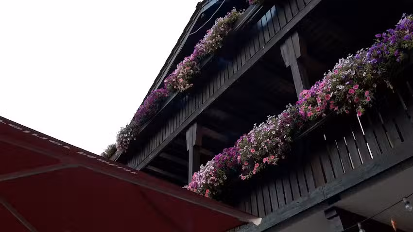 Ferienwohnungen Sauer