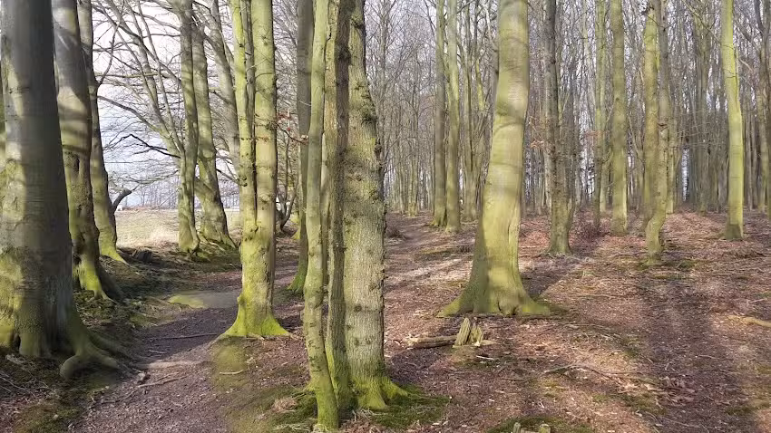 Ferienwohnungen Schmelzer