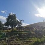 Ferienwohnungen Schneiderhof