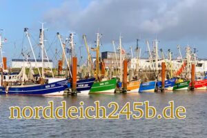 Ferienwohnungen „Seestern“ und „Seegras“ Norddeich245b