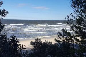 Ferienwohnungen Villa Waldblick – Urlaub auf Usedom
