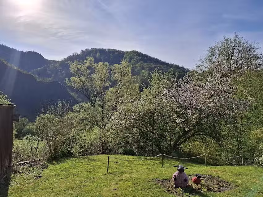 Ferienwohnungen WALDBLICK WALDBREITBACH