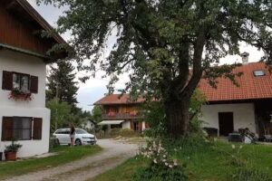 Ferienwohungen Vorderlipphof