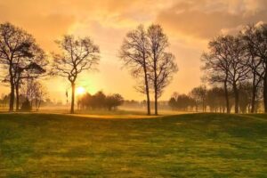 FeWo Golfblick
