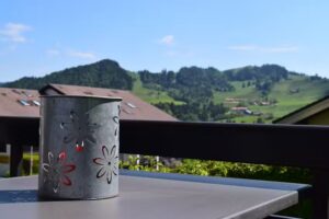 Fewo H&uuml;ndleblick
