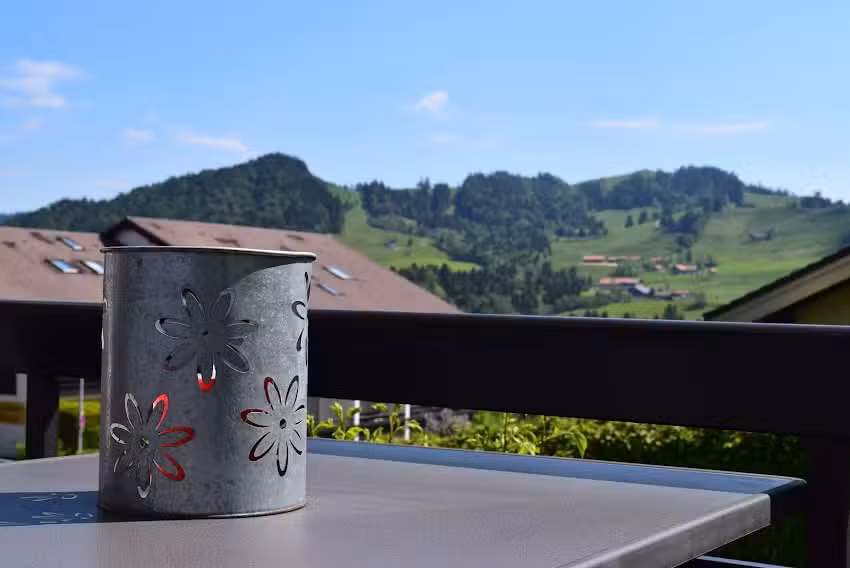 Fewo H&uuml;ndleblick