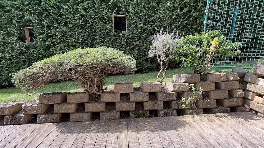 Fewo im Sackg&auml;ssle