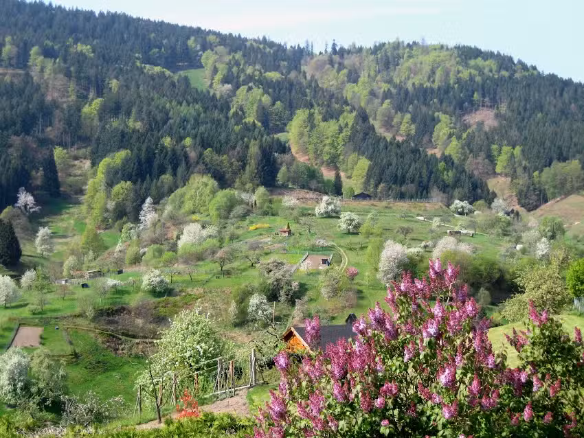 Fewo Waldblick