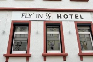 Fly&rsquo;in