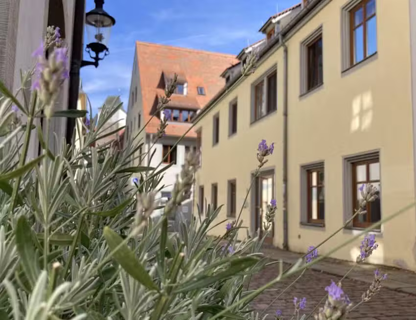 Freiberg Apartments