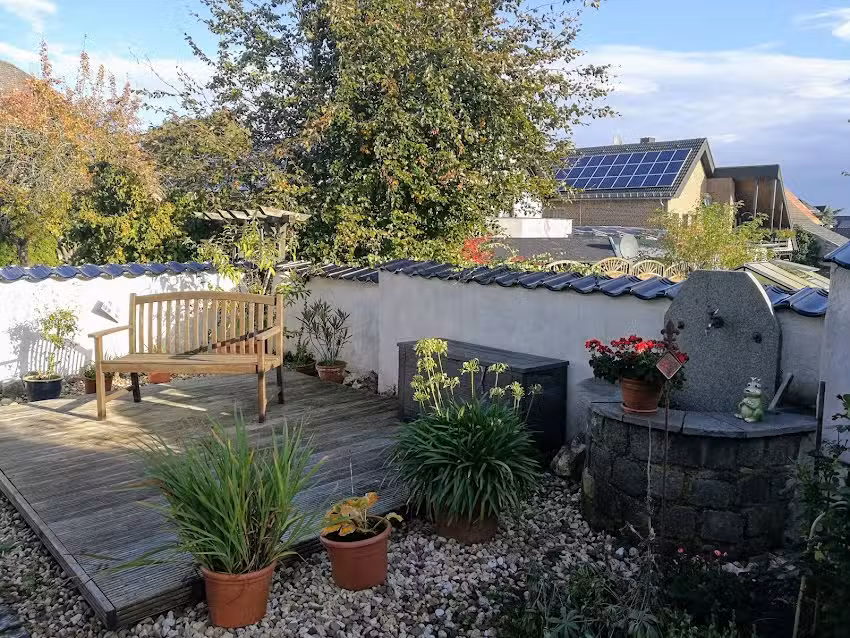 Freienhaus Ginsterbl&uuml;te