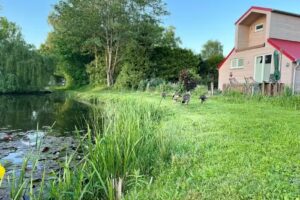 Freizeit- und Campingpark Tespe GmbH & Co. KG