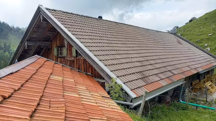 Freudenreich-Alm