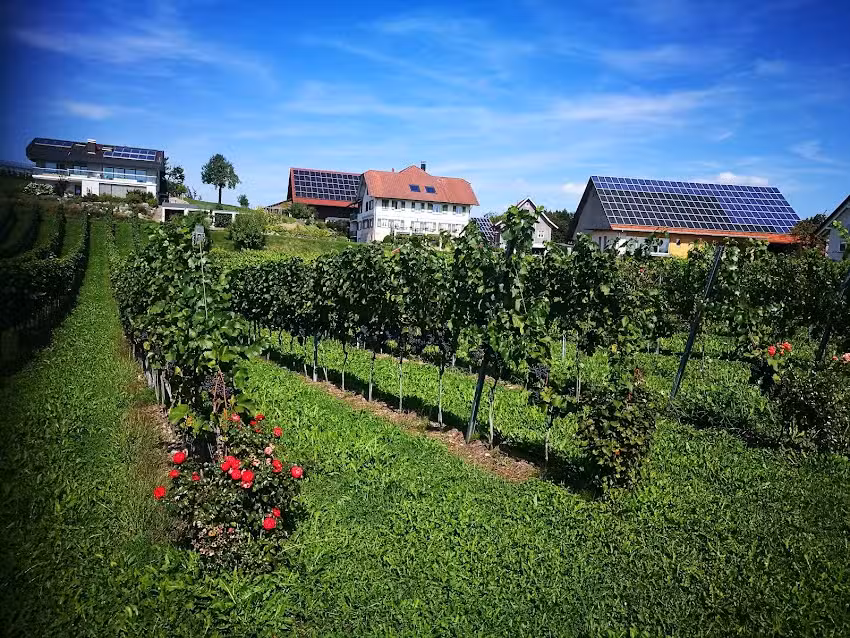 Frohe Aussicht E. u. Ch. G&uuml;nth&ouml;r
