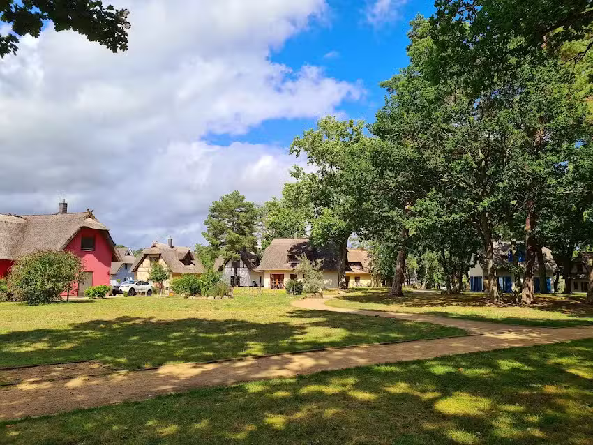 Frosch Ferienhaus 97