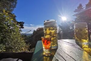 G&auml;nskopfh&uuml;tte bei Weidenberg
