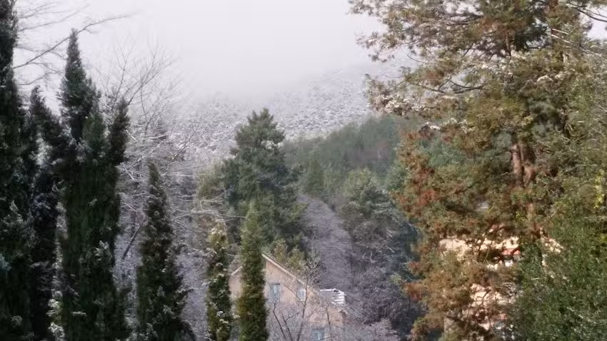 Gästehaus am Waldrand