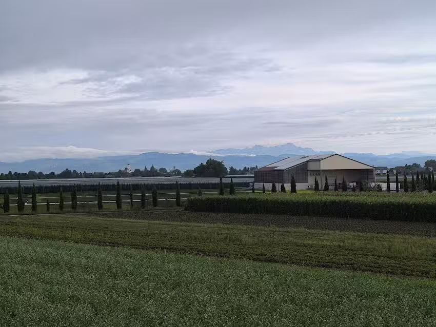 G&auml;stehaus Bellevue