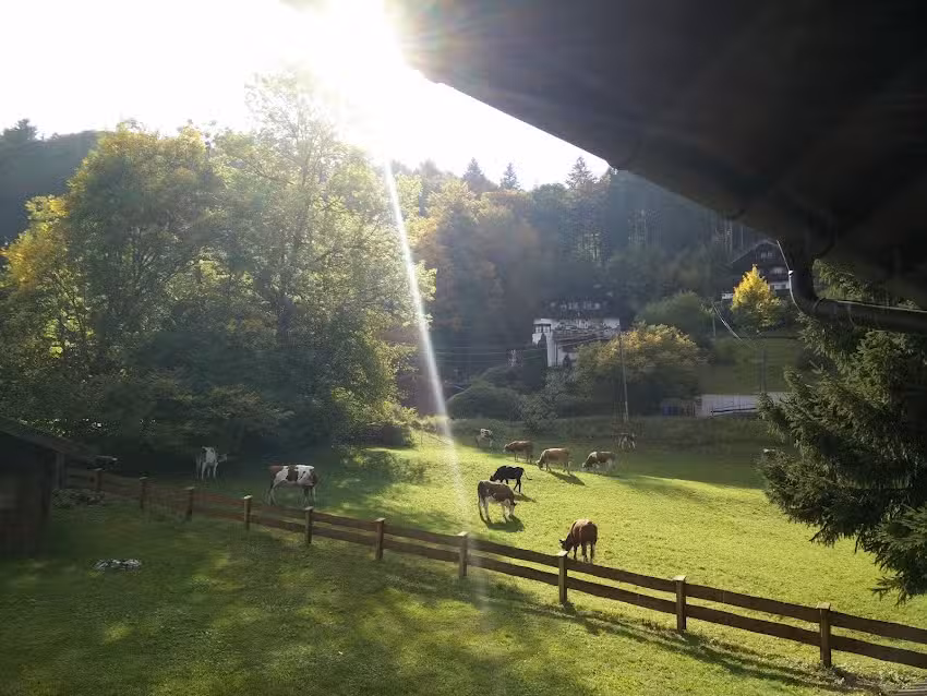 G&auml;stehaus Centa