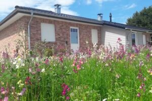 G&auml;stehaus hygge Ferienwohnung