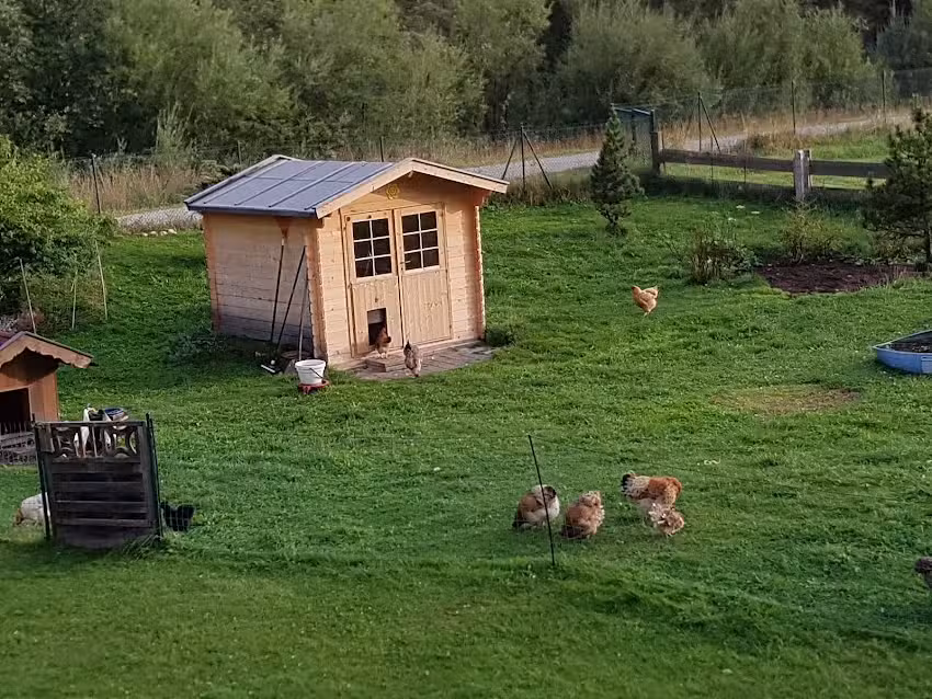 G&auml;stehaus Simon