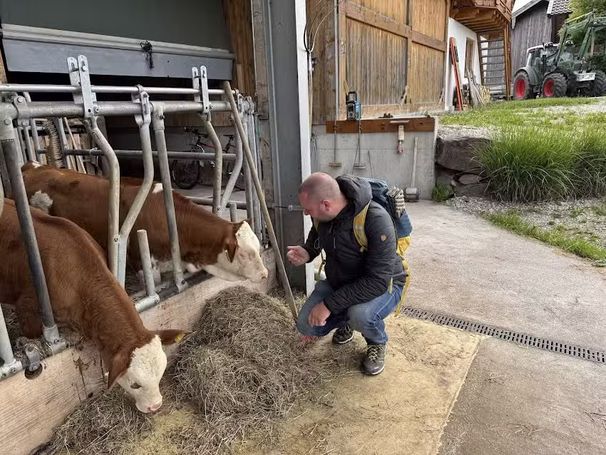 G&auml;stehaus Sperl