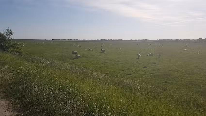 G&auml;steh&auml;user Lorenzen