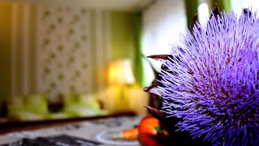 G&auml;stewohnung M&ouml;nchengladbach