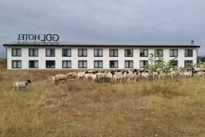 GDL Hotel by WMM Hotels