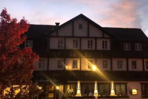 Goldener Hahn B&B Apartment Hotel garni / Ferienwohnungen mit Hotel Service in Baiersbronn/ Schwarzwald