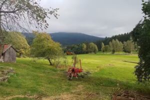 Graflinger Tal