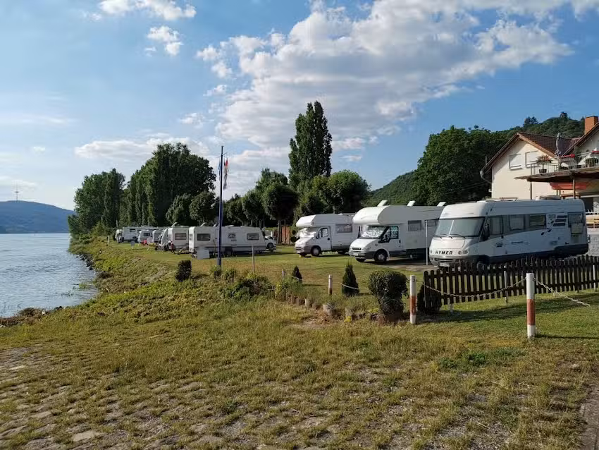 Green Camping am Rhein