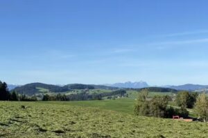 Gronewald&rsquo;s Mountain View Holidays