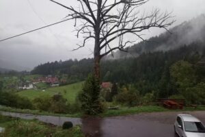 Gr&uuml;ner Ausblick