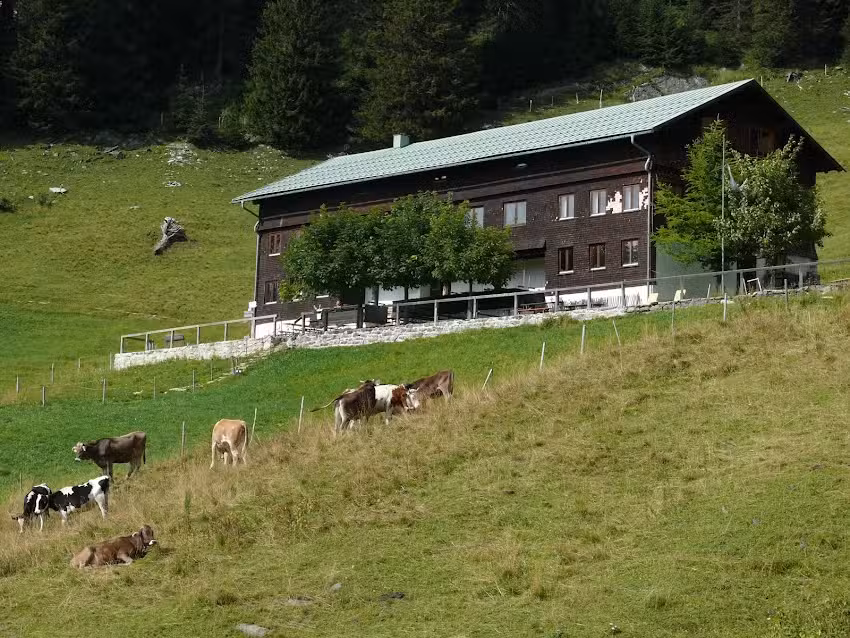 Gr&uuml;ntenhaus