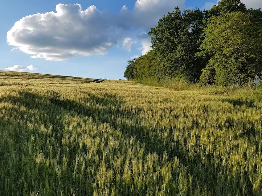 Gut Hartungshof