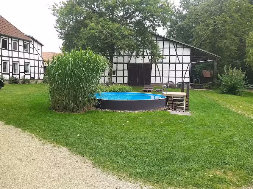 Haflinger Hof Leichtmann