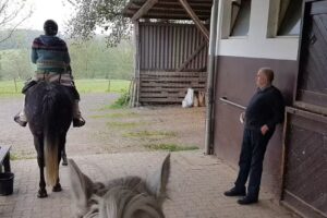 Haflinger Hof Müller