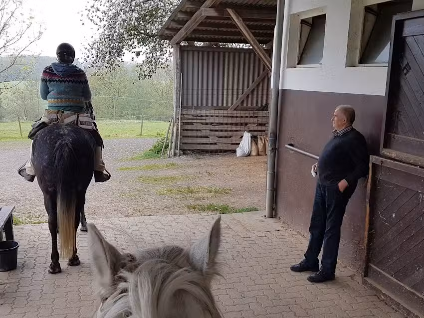 Haflinger Hof M&uuml;ller