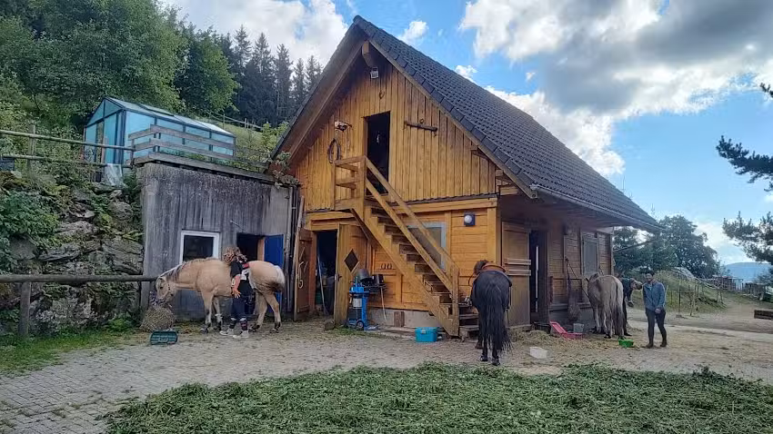 Haldenh&auml;usle