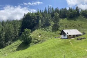 Halsalm