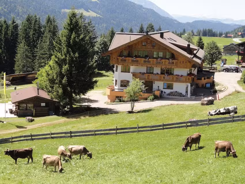 Haus &bdquo;Almfrieden&ldquo;