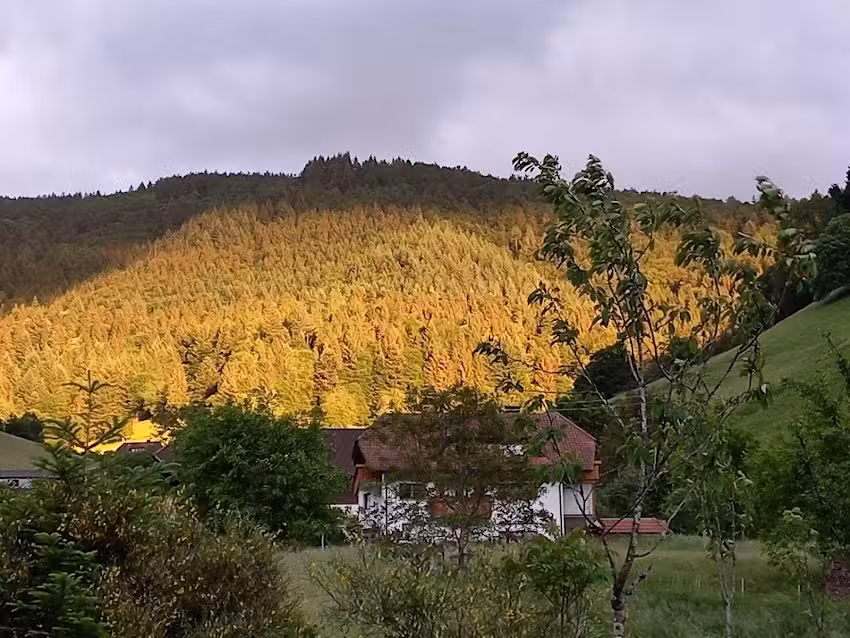 Haus am B&uuml;hl