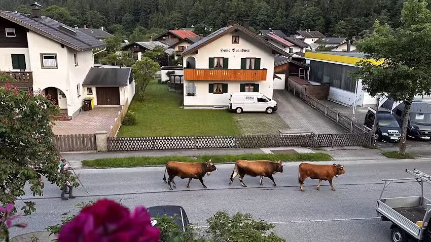 Haus Brunnsteinblick